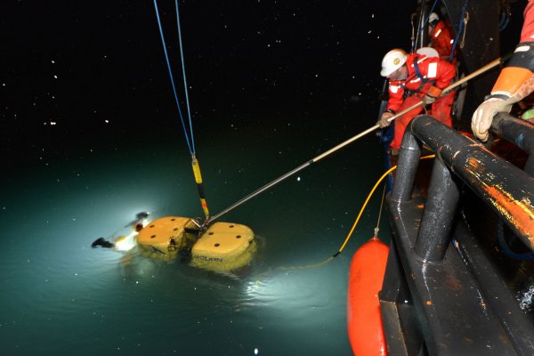 Www kraken 20at net