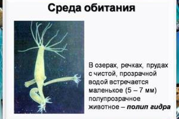Кракен площадка что это