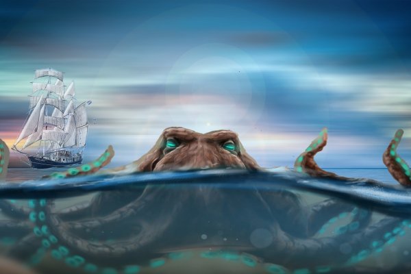 Кракен даркнет store kraken dark link