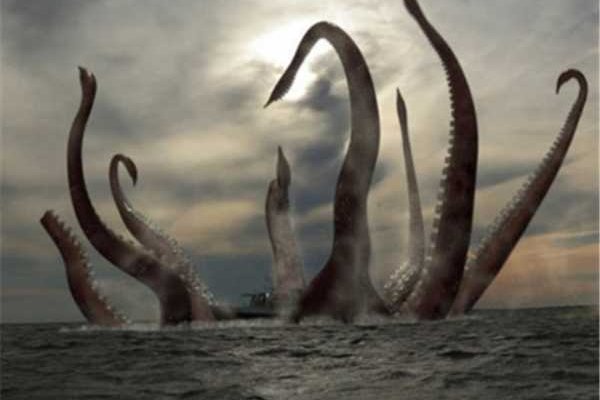 Kraken official