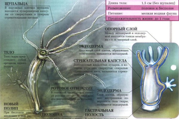 Кракен это что за магазин