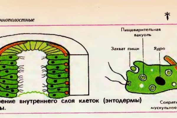 Покупки на кракене даркнет