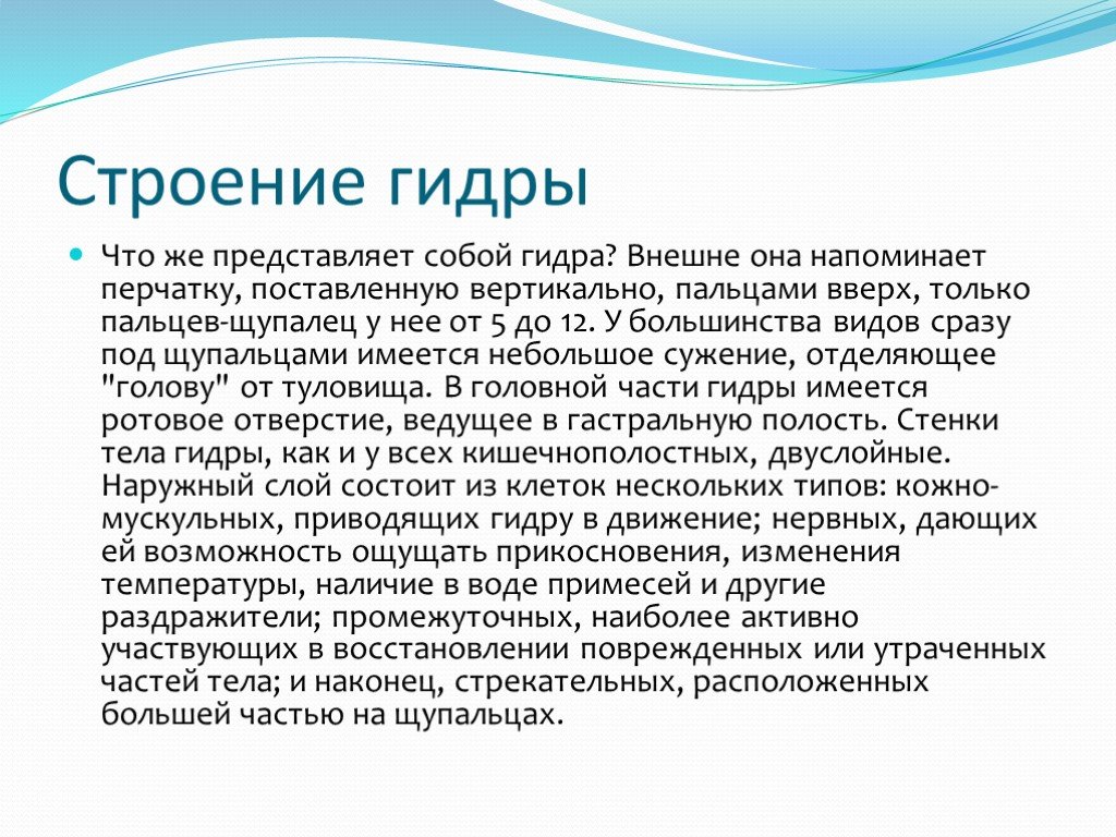 Кракен вход официальный сайт